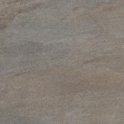 DAK63736.1-003 DAK63736.1-003