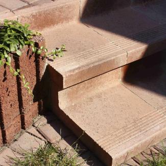 Best - Canto -  MG 7307-karamelova  - 