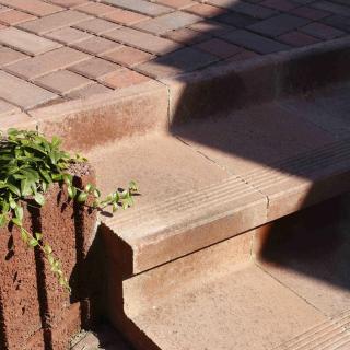 Best - Canto - _MG_7307-karamelova - Best - Canto - _MG_7307-karamelova -