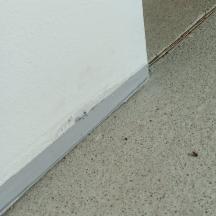 GUMOTĚS - obr. 1 - pružné utěsnění spáry, přechodu mezi zdí a podlahou