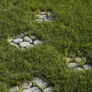 Best - Valea - 400X400___mg_4671 - 