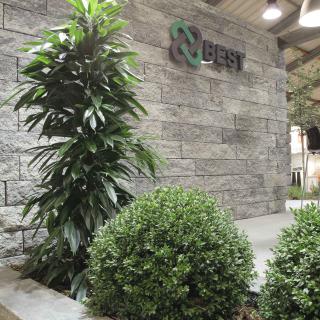 Best - Stone - _MG_1052-brilant - 