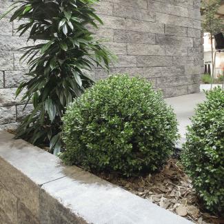 Best - Stone - _MG_1052-brilant - Best - Stone - _MG_1052-brilant -