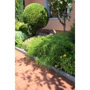 Cihlová dlažba Görlitz. obr. 1