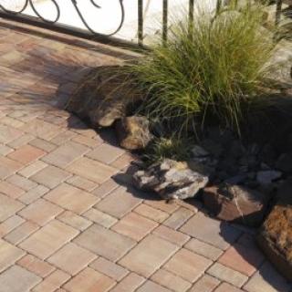 Best - Korzo - 400X400___mg_88931 - Best - Korzo - 400X400___mg_88931 -