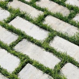 Best - Akvabelis - 400X400__17_mg_5387_colormix_arabica  - 