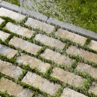 Best - Akvabelis - 400X400__17_mg_5459_colormix_arabica  - 