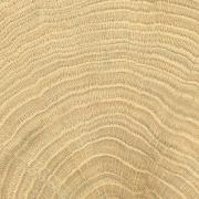 Dlažba Emil W-Circles oak béžová.