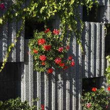 Best - Kaskada - _MG_6620-prirodni - 