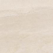 DAK63735.1-001 DAK63735.1-001
