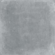 DAK63742.1-007 DAK63742.1-007