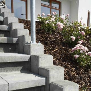 Best - Canto - _MG_0839-prirodni - Best - Canto - _MG_0839-prirodni -