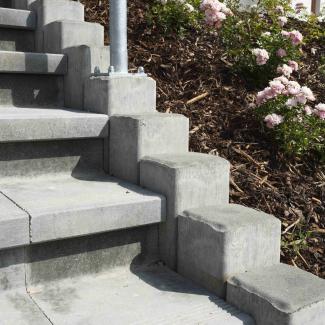 Best - Canto -  MG 0839-prirodni  - 