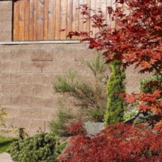 BEST - NATURA - BEST - NATURA I  IV  V  povrch STANDARD stipany  barva hneda  - 