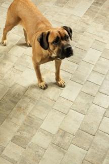 Velkoplošná dlažba Belisima