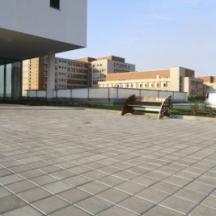 Best - Karo - 400X400___mg_69731 - 