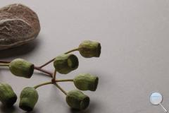 Dlažba Porcelaingres Dune taupe šedá - 