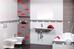 Concept Plus. concept-plus-cm-1