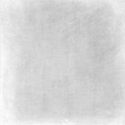 DAK81741.1-004 DAK81741.1-004