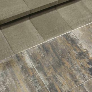 Best - Canto - _MG_8316-prirodni  - 