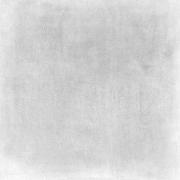 DAK81741.1-001 DAK81741.1-001