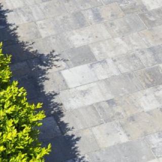 Best - Belisima - 400X400__17_mg_3308_belisima_colormix-arabica - Best - Belisima - 400X400__17_mg_3308_belisima_colormix-arabica -