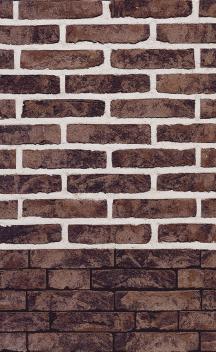 Lícová cihla FB 1130 Umber (210 × 100 × 65 mm)