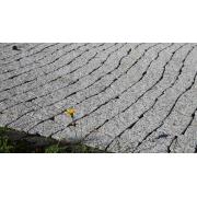 Venkovní betonová dlažba CSB - GRANITO. POVRCH EXCELLENT - BARVA ŠEDÁ&nbsp;(4)