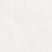 DAK81790.1-004 DAK81790.1-004