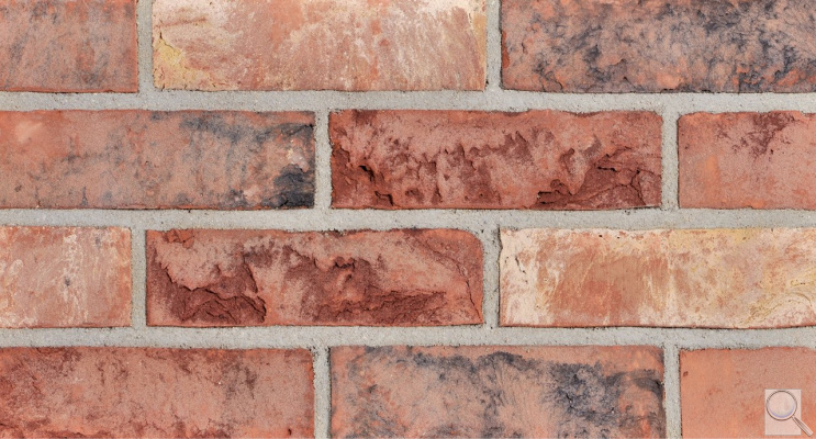 Lícový pásek W.WDFP.Cienna. obr. 1