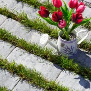 BEST - akvalines - 400X400__17_mg_5320_colormix_brilant - 