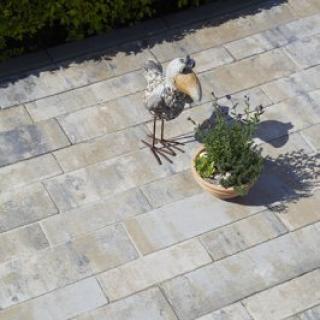 Best - Olympia - 400X400__17_mg_5270_olympia_colormix_arabica - 