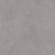 DAK81791.1-002 DAK81791.1-002