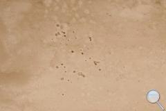 Dlažba Realonda Gaia terra béžová - im-1200-GAIATE-002