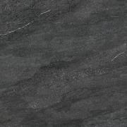 DAK81739.1-003 DAK81739.1-003