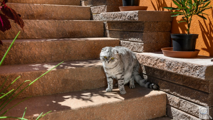 NATURBLOK SCHOD. POVRCH TUMBLE - BARVA NATURCOLOR PLAYA