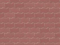 AS11_VARIO_03_CERVENA