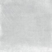 DAK63741.1-001 DAK63741.1-001