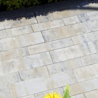 Best - Olympia - 400X400__17_mg_5285_olympia_colormix_arabica - 