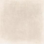 DAK81743.1-001 DAK81743.1-001