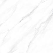 Dlažba Fineza Glossy Marbles statuario platina bílá (im-1200-STAT60PLL-005)