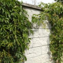 BEST - NATURA - BEST_-_NATURA_II__povrch_STANDARD_stipany__barva_bila - 