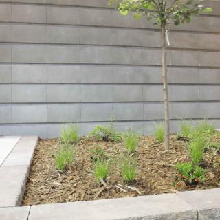 Best - Stone - _MG_1059-brilant - 