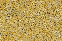 Kamenný koberec TOPSTONE Giallo Mori