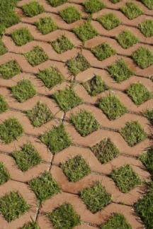 Zatravňovací dlažba Vega