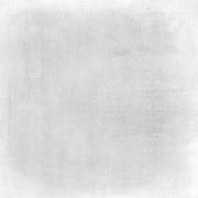 DAK81741.1-003 DAK81741.1-003