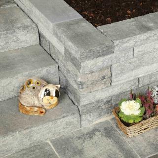 Best - Stone - _MG_9171-brilant - 