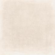 DAK81743.1-003 DAK81743.1-003