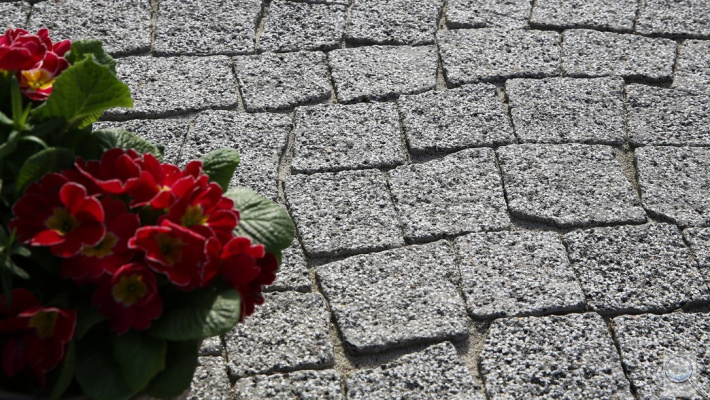 Venkovní betonová dlažba CSB - GRANITO. EXCELLENT - barva ŠEDÁ