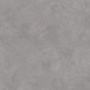 DAK92791.1-001 DAK92791.1-001